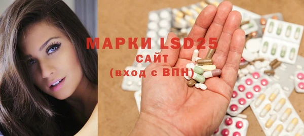 эйфоретик Магас