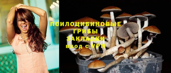 мдпв Майский