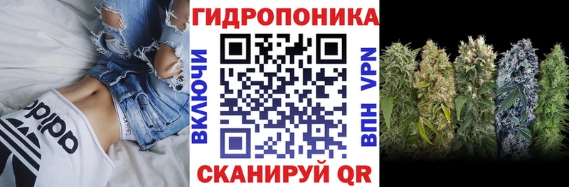 Каннабис планчик Йошкар-Ола
